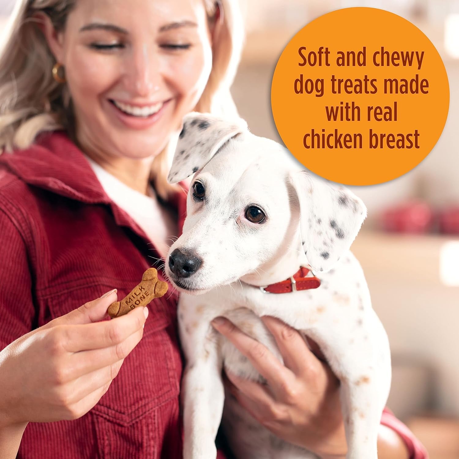 Soft & Chewy Dog Treats, Chicken Recipe with Chicken Breast, 25 Ounce Container